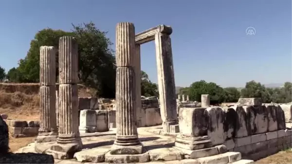 Lagina Hekate Kutsal Alanı'ndaki yapılar ayağa kaldırılıyor