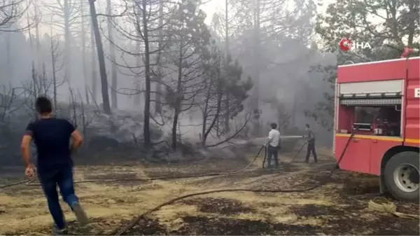 Kütahya'da orman yangını: 3 hektarlık alan yandı