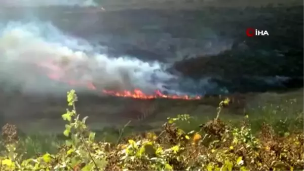 Son dakika 3. sayfa: Arnavutköy'de çalılık alanda yangın