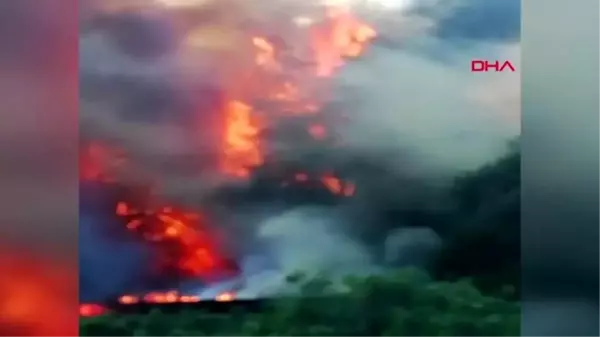 Evde çıkan yangın, ormanlık alana sıçradı