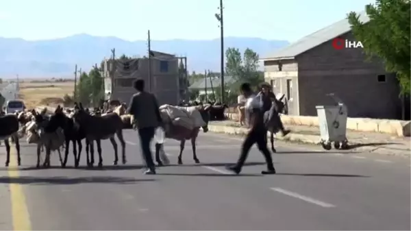 Göçerlerin zorlu yolculuğu başladı