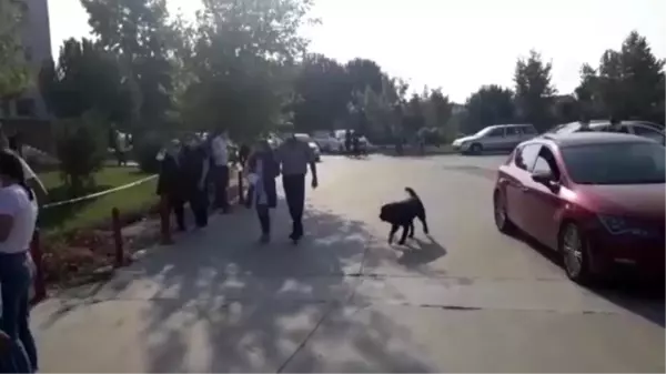 Kimliğini unutan öğrencinin imdadına jandarma yetişti - BALIKESİR