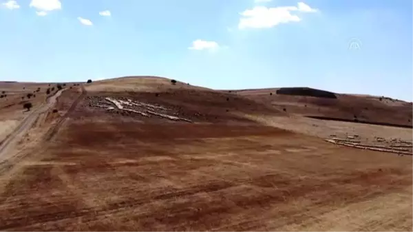 Yayla mesaisini tamamlayan Doğu Anadolu'daki göçerler dönüş yolunda