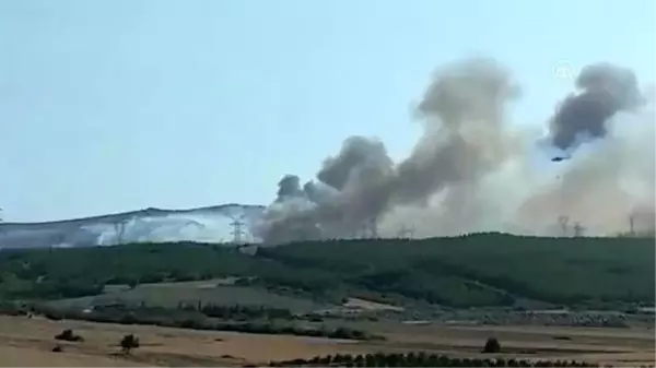 Son dakika haberleri | Gelibolu'daki orman yangınına müdahale ediliyor