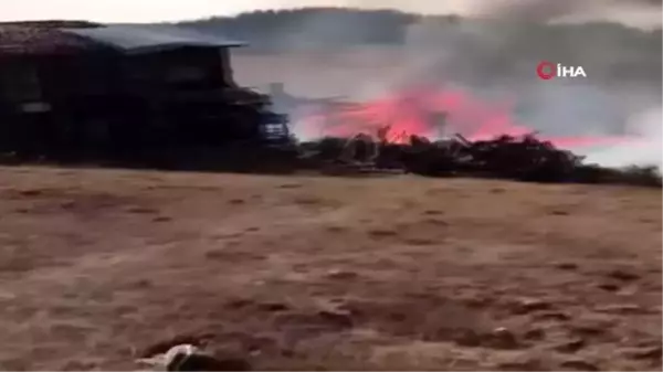 Kastamonu'da çıkan yangında 6 yayla evi küle döndü