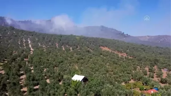 Son dakika haberi... Mudanya'da ormanlık alanda çıkan yangın kontrol altına alındı