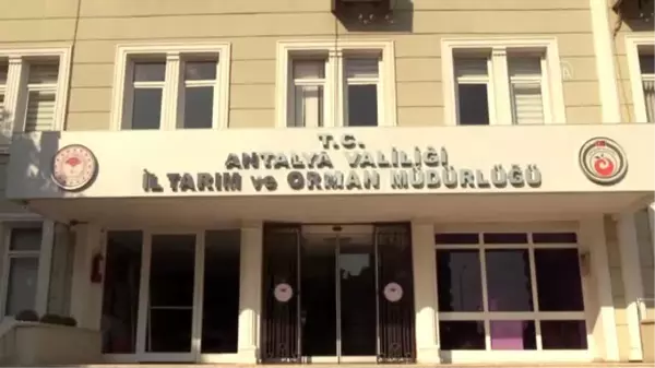 Sanal tarım eğitim programı 