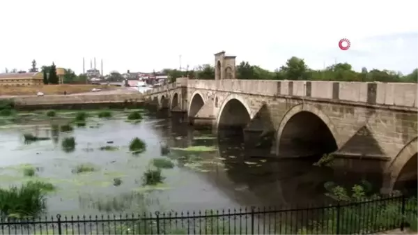 Edirne'de Tunca Nehri yeşile büründü