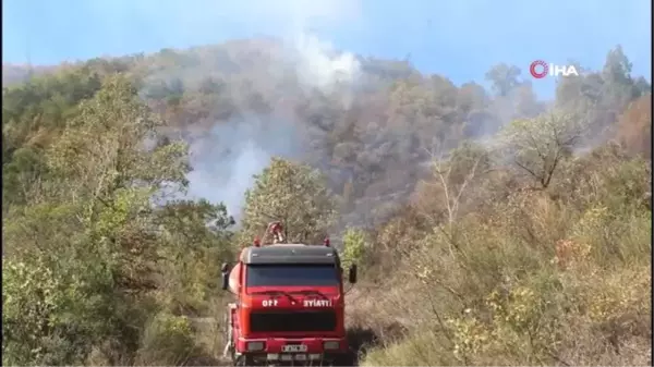 Son dakika: Kastamonu'da orman yangını