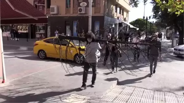 Son dakika... Orman yangınlarına yanmış ağacı omuzuna alıp caddede dolaşarak dikkati çekti