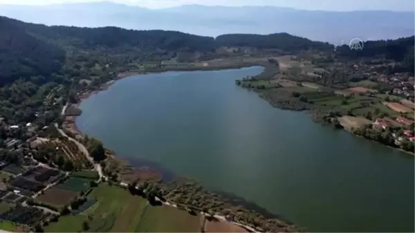 Son dakika haber... Doğa harikası Gölcük Yaylası salgında kaçış noktası oldu