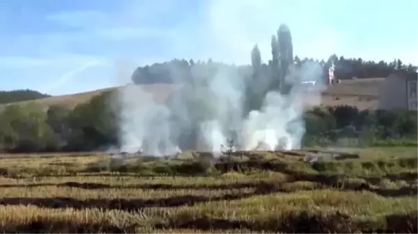 Son dakika haberleri! Boyabat'ta anız yangını söndürüldü