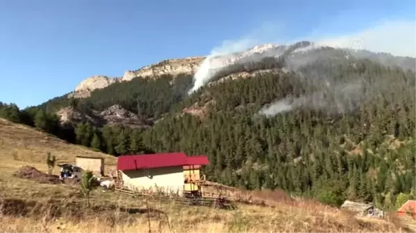 Orman yangınına müdahale ediliyor