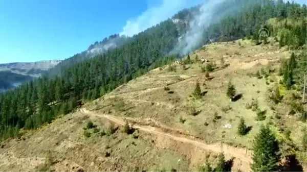 Kastamonu'daki orman yangınları