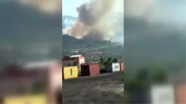 Hatay'da çıkan orman yangınına müdahale ediliyor