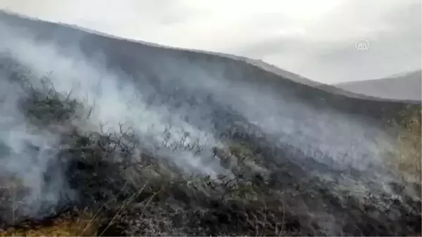 Son dakika haber... Çoban ateşi örtü yangınına neden oldu