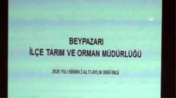 Beypazarı'nda 180 çiftçiye yem tohumu dağıtıldı