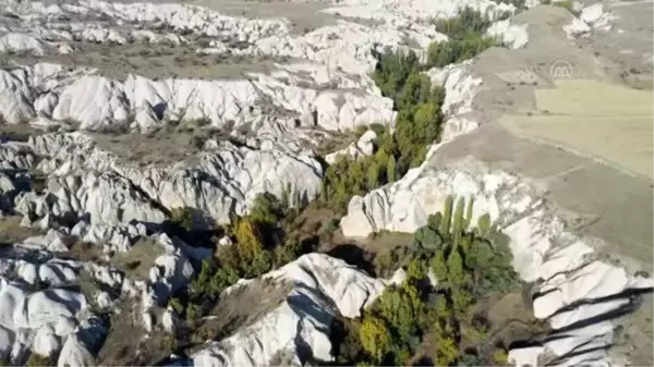 Kapadokya'nın gözbebeği Ürgüp'teki Gomeda Vadisi doğa tutkunlarını ağırlıyor