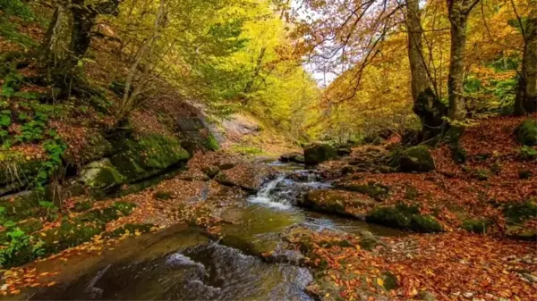 Yılançatı Kanyonu'na özel klip hazırlandı