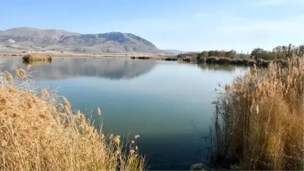 Bozkırın ortasındaki Ulaş Gölü'nde sonbahar güzelliği