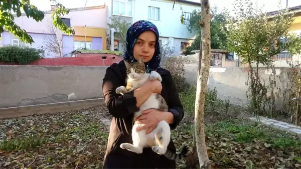 Bu evde 60 kedi yaşıyor