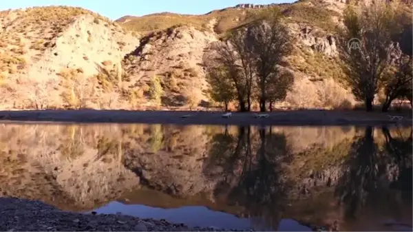 Munzur Vadisi Milli Parkı, gelin ve damatların doğal stüdyosu oldu