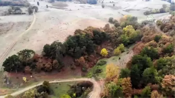 Osmanlı'nın kışlağı Söğüt'te yaylacıların eve dönüşü başladı