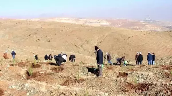 Öğretmenler için oluşturulan hatıra ormanına ilk fidanlar dikildi