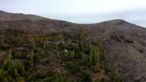 DİYARBAKIR - Diyarbakır'da sonbahar