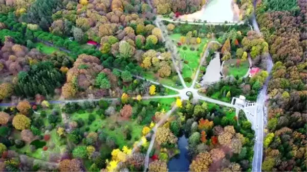 İstanbul'da sonbaharın renkleri Atatürk Arboretumu'nda