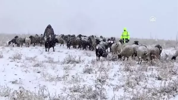 Kar yağışına hazırlıksız yakalanan çobanlar zor anlar yaşadı