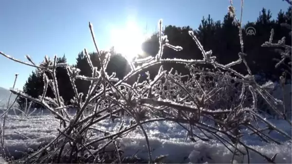 Soğuk hava yaşamı olumsuz etkiliyor