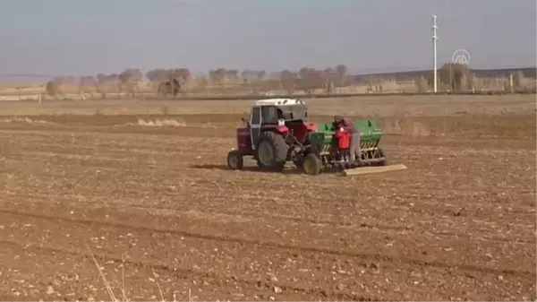 Beyşehir Gölü Havzasında çiftçiler pandemi döneminde de mesaisini sürdürüyor