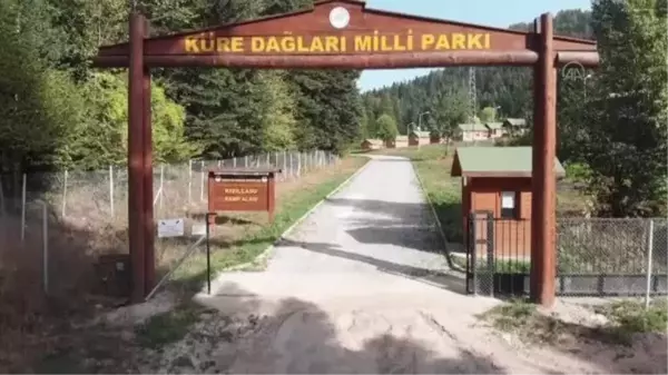 KASTAMONU - Kızılcasu, doğayla baş başa tatil isteyenlerden ilgi gördü