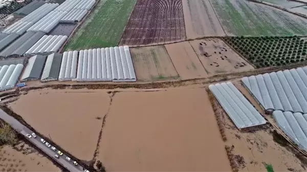 Antalya'da sel 9 bin 530 dekar ekili alana zarar verdi