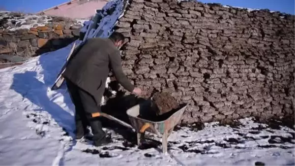 Ardahanlı besici kaloriferli evini tezekle ısıtarak yakacak maliyetinden kurtuldu