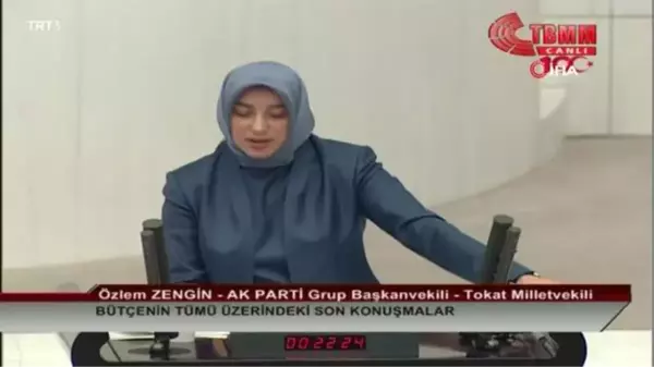 AK Parti Grup Başkanvekili Özlem Zengin: 