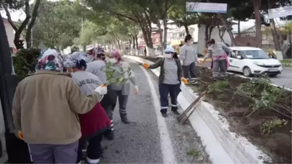 Söke'deki Güllübahçe'de gül dikimi yapıldı