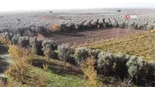 İznik'teki dikilitaş, 2 bin yıldır ayakta