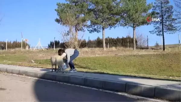 Üniversite öğrencilerinden, 