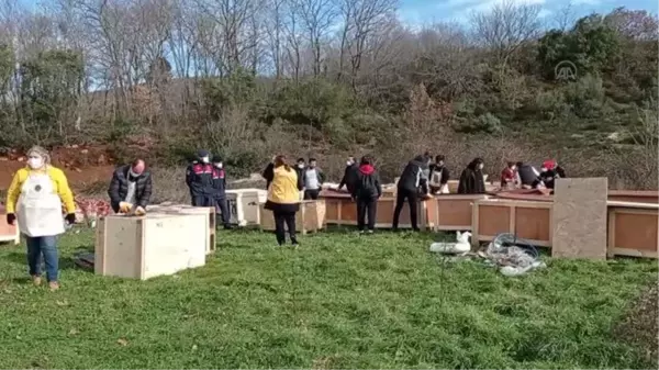 Silivri ve Çatalca'da sokak hayvanları için kulübeler kuruldu