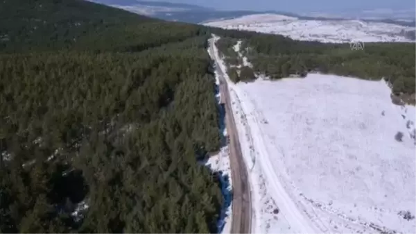 KASTAMONU - Yaban hayvanları için doğaya yem bırakıldı