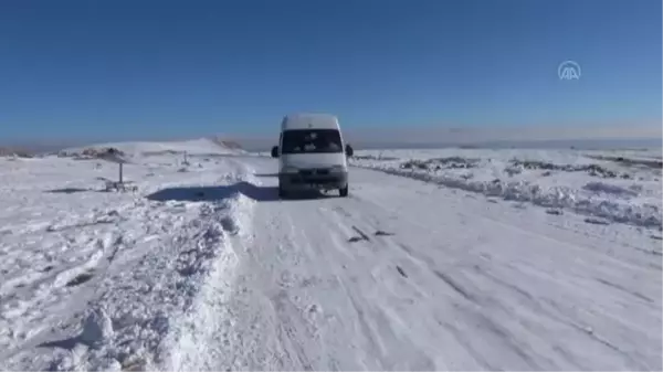 Muradiye'de sokak hayvanlarına yem bırakıldı