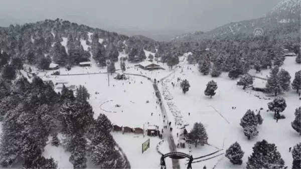 Kar yağışı sonrası teleferikle çıkılan yaylaya ilgi arttı