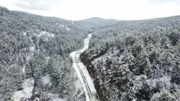 Yaylacık Ormanı beyaz örtüyle kaplandı