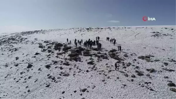 Kısıtlamada sokak hayvanları unutulmadı