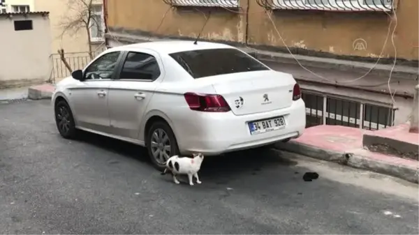 Misafirliğe gittiği evde hırsızlar otomobilini çaldı