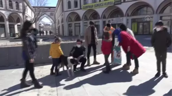 Gürpınar'da sokak hayvanlarına yem bırakıldı