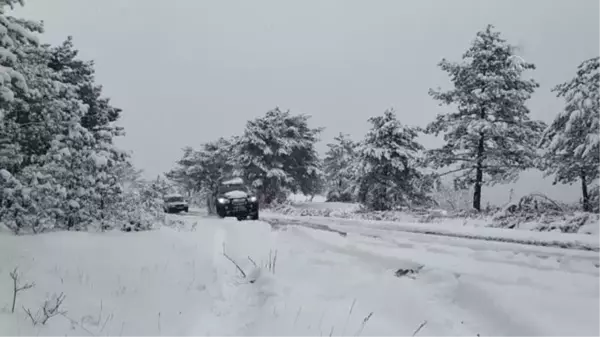 KASTAMONU - Avcılar yaban hayvanları için doğaya yiyecek bıraktı