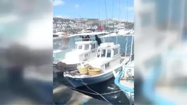 Bodrum'da balıkçı teknesinde çıkan yangın hasara yol açtı